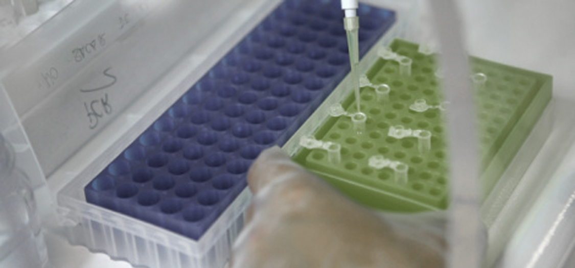 Custom Synthesis for Isotopes